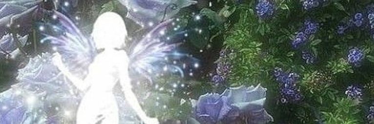 whoismaddream3r's profile banner image