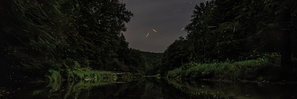 GentleCryptid Profile Banner