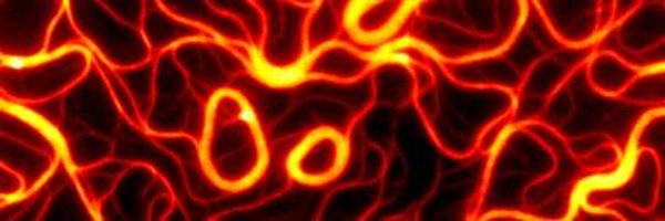 NkTimon Profile Banner