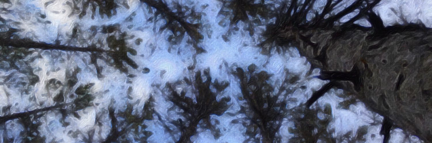 paiger3's profile banner image