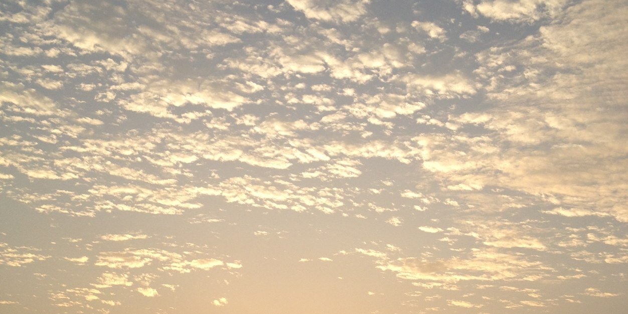 ◡̈ 𝚙𝚎𝚘𝚗𝚢 🤖🚢🥀🧸 banner
