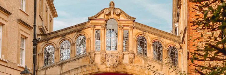 Aisling Barrett banner