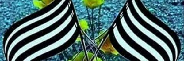 naveed4500 Profile Banner