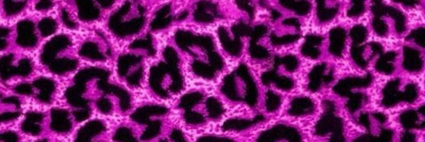 Emma85458235's profile banner image