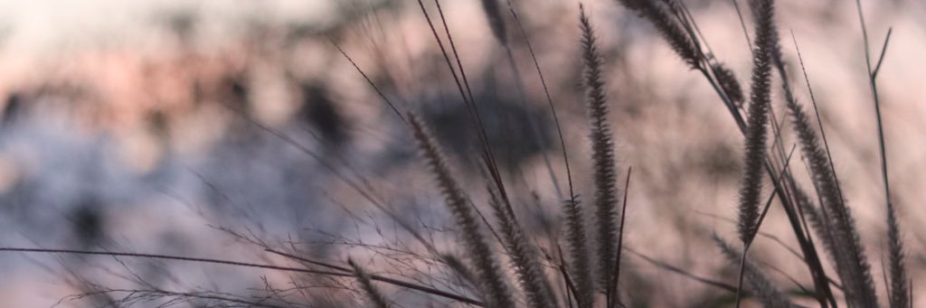 𝐮𝐧𝐝𝐨𝐠𝐠𝐨 banner