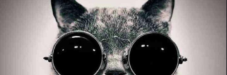 spookynaan's profile banner image