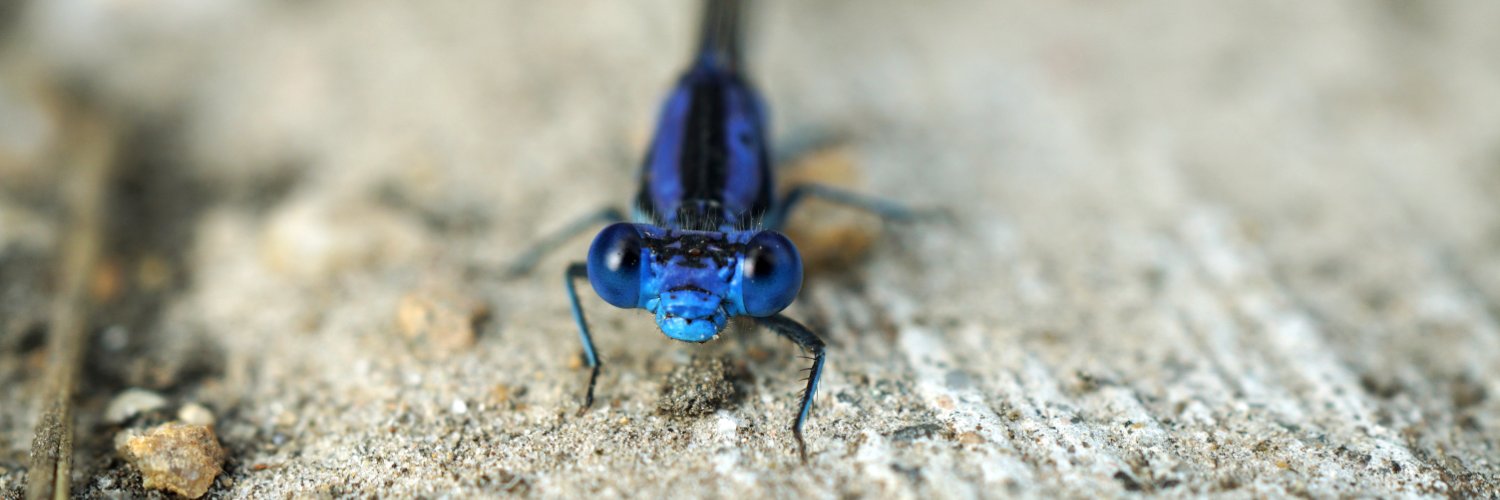 Dustin Rolstad banner