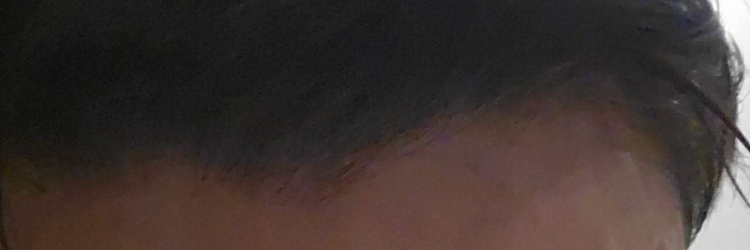 Boywildish 🌼 banner