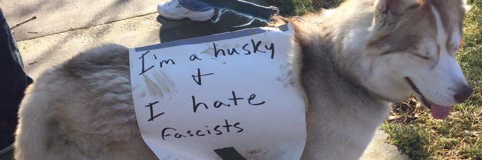 patron saint of dogs named lucy banner