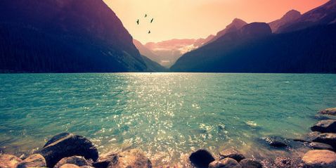 alejandra_pm26's profile banner image