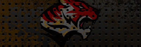 RedTigerPlays Profile Banner