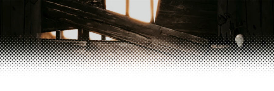 𑁍's banner