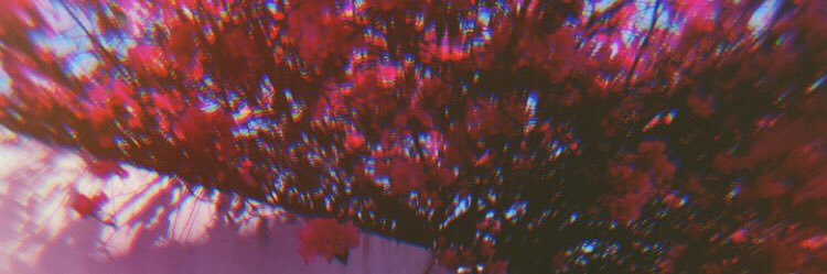PauletteChances's profile banner image