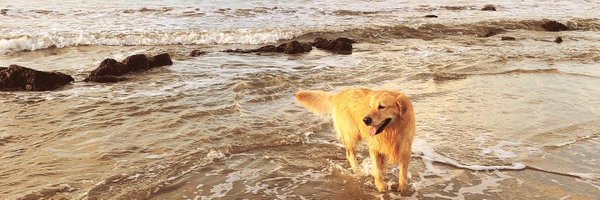 Marigroove Profile Banner