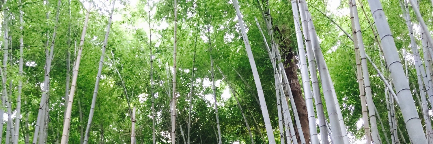 DonateDouble's profile banner image