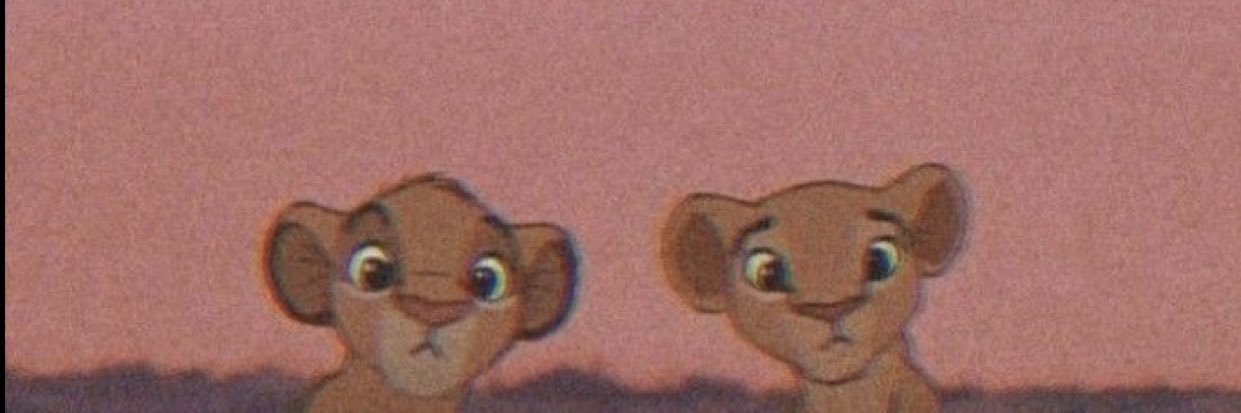 esroznnn's profile banner image