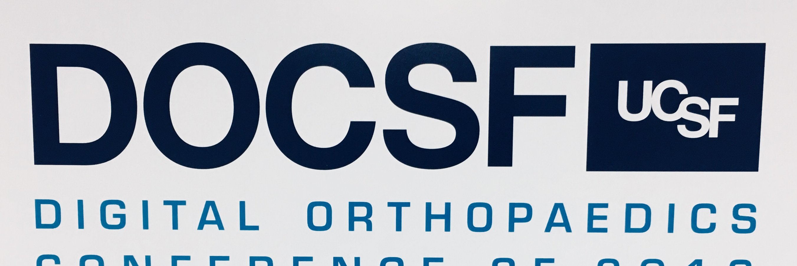 Stefano A Bini MD banner