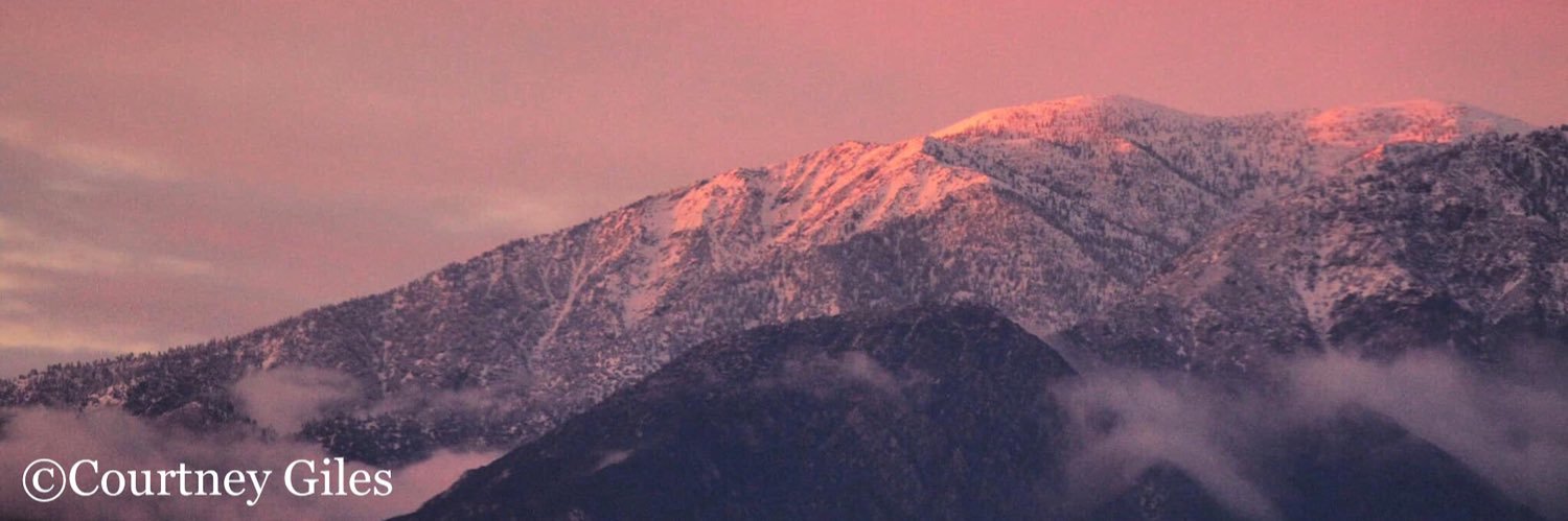Courtney__G_'s profile banner image
