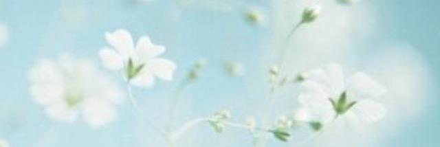 lysmiron's profile banner image