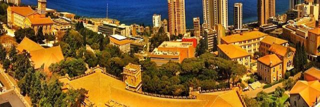 Dr. Fadia Homeidan banner