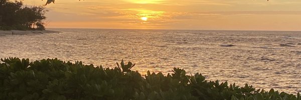 sc_cadi_ Profile Banner
