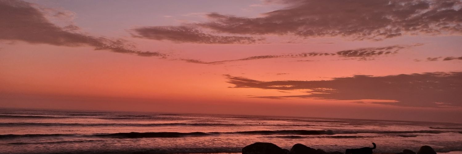 LiamStead's profile banner image