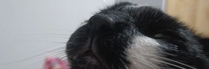 _phinex_'s profile banner image