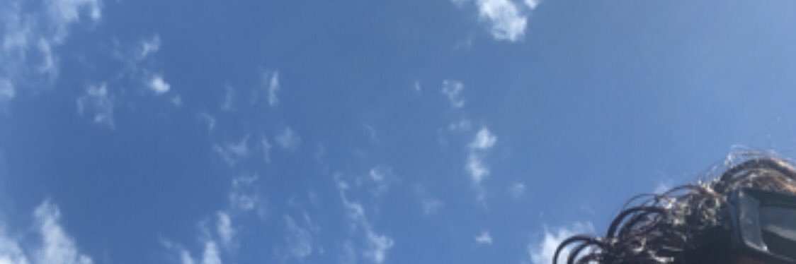 miccdelossantos's profile banner image