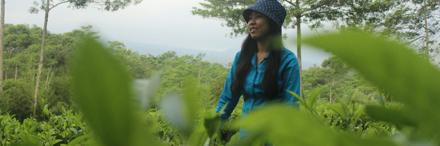 triwyuni's profile banner image