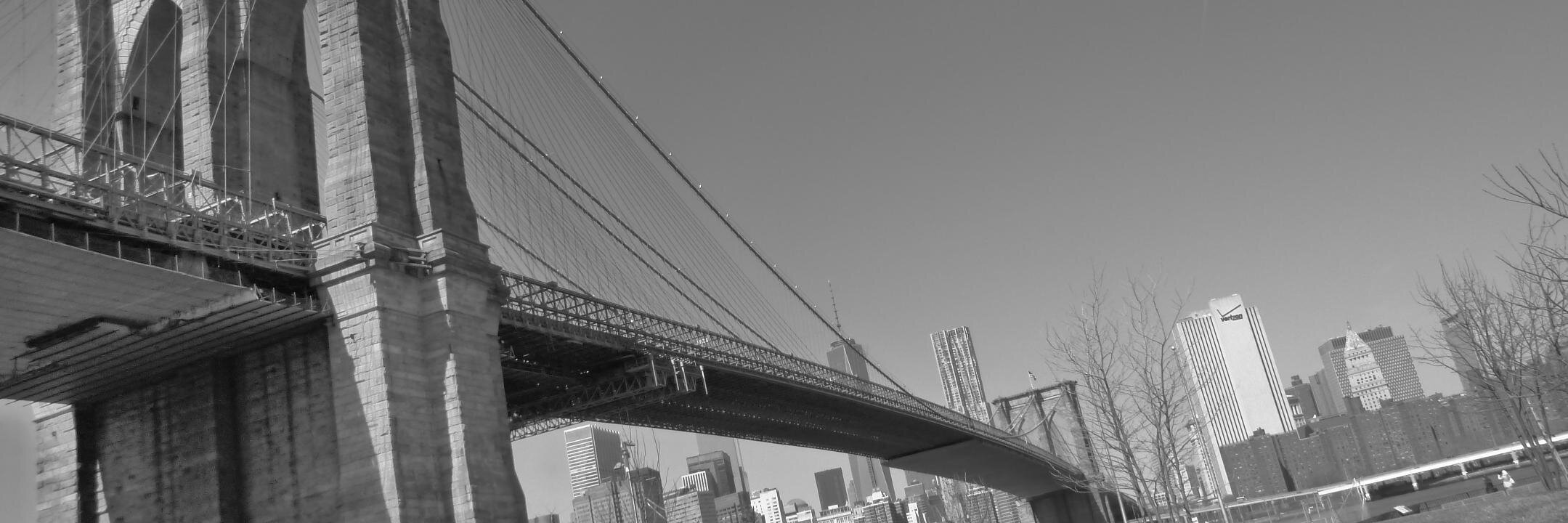 EssentielOptique banner