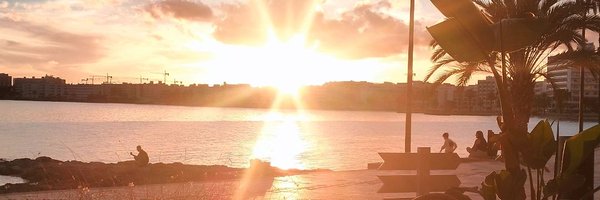 Triniformation Profile Banner