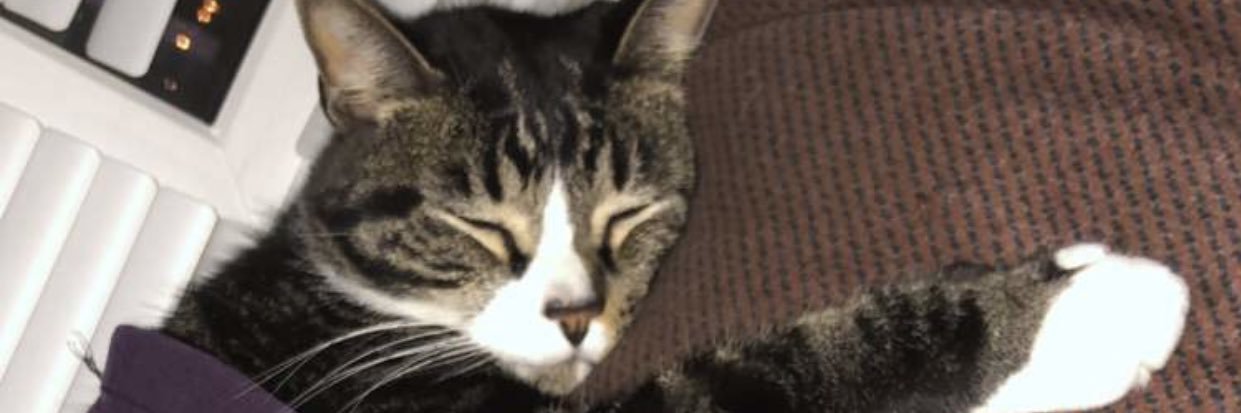Brandonp3terson's profile banner image