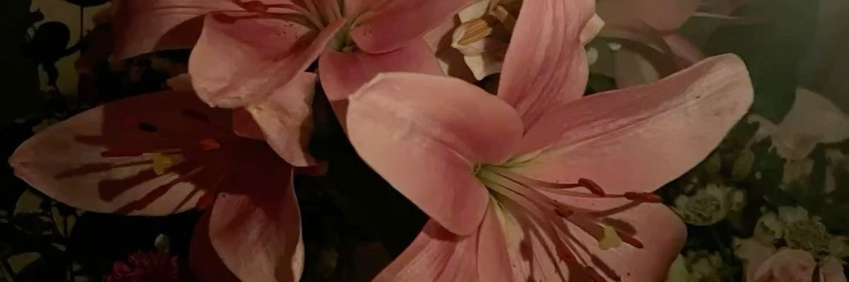 q2lar's profile banner image