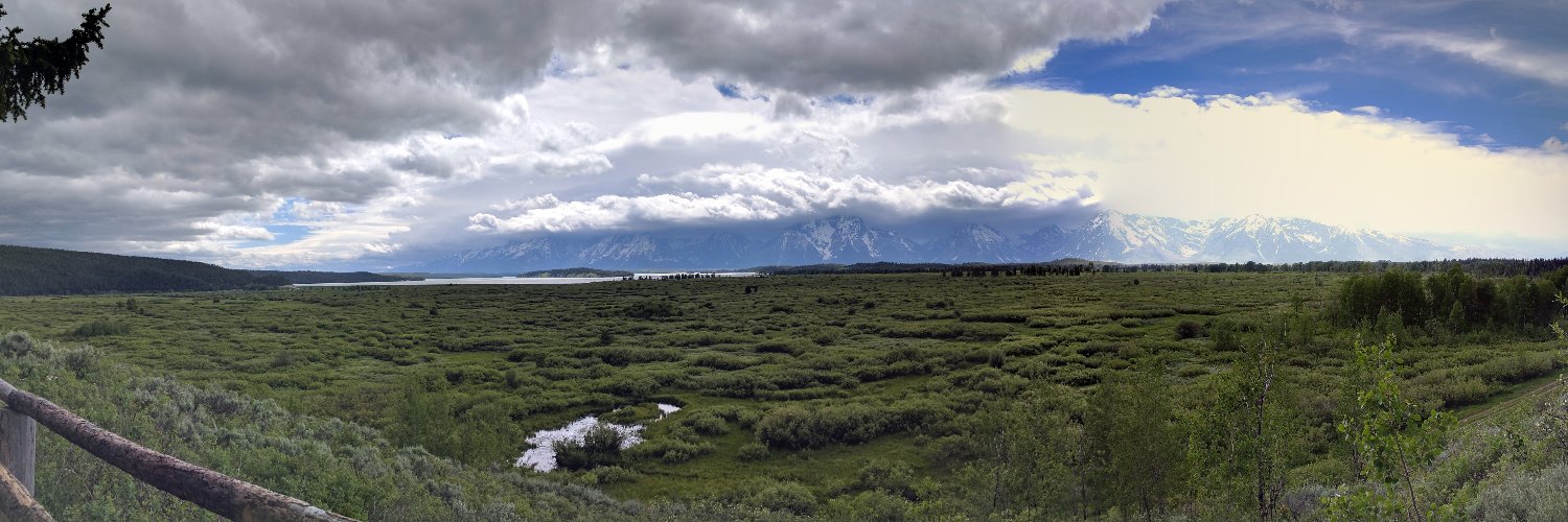 Darcy Ross, Imperator Gastropoda banner