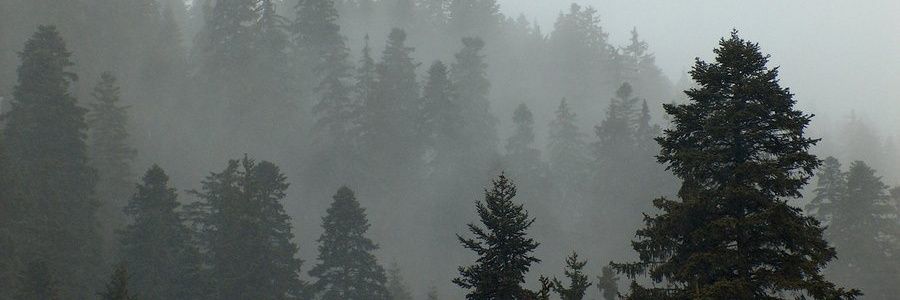 c0ldness__'s profile banner image