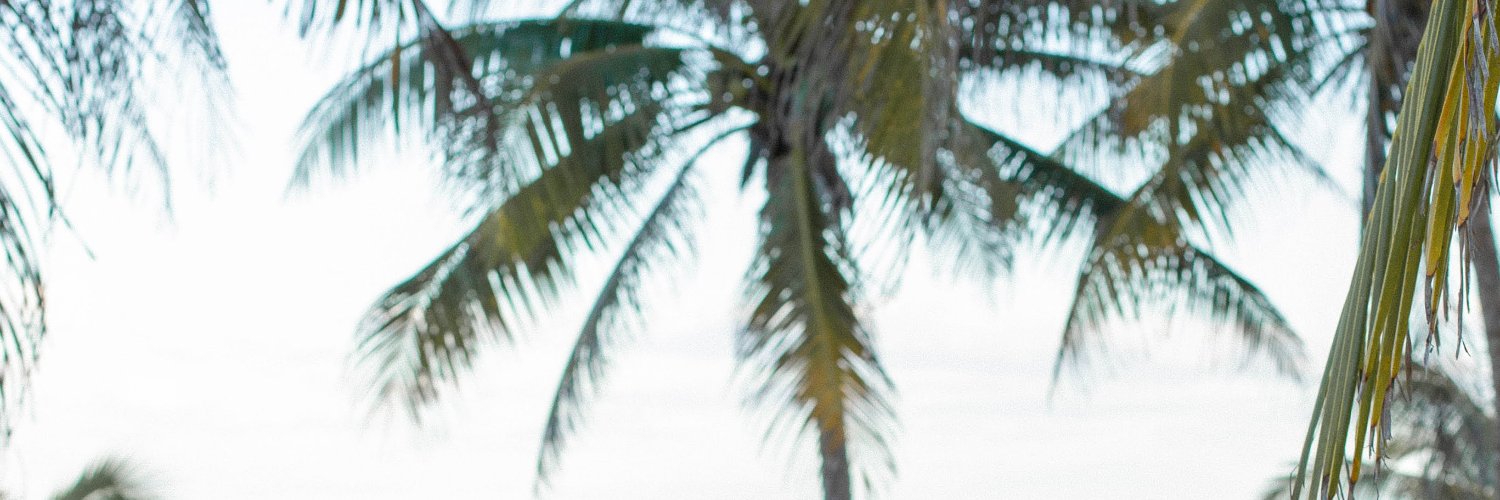 Flor Gaona banner