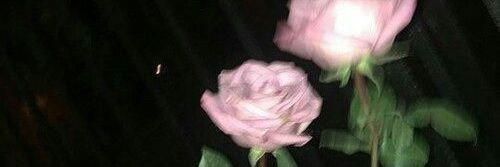 🍉caa | Open| 🍉 banner