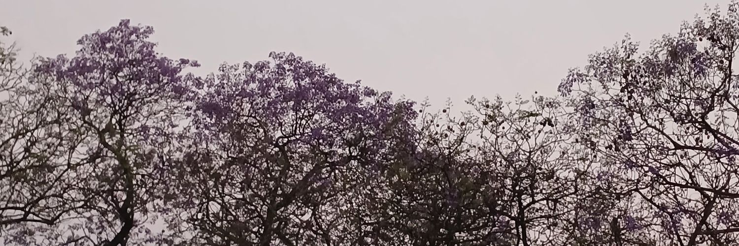 __daycan's profile banner image