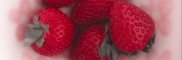 lechitarosader1's profile banner image