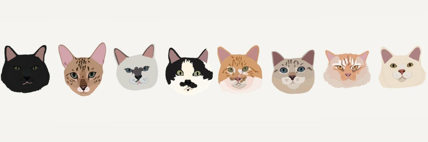 ws🍉 banner