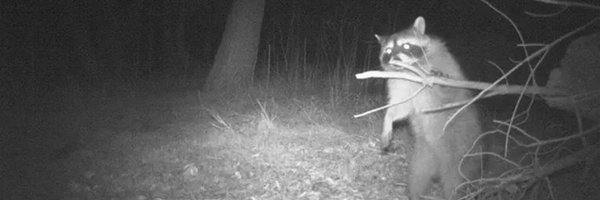 _Aloid_ Profile Banner