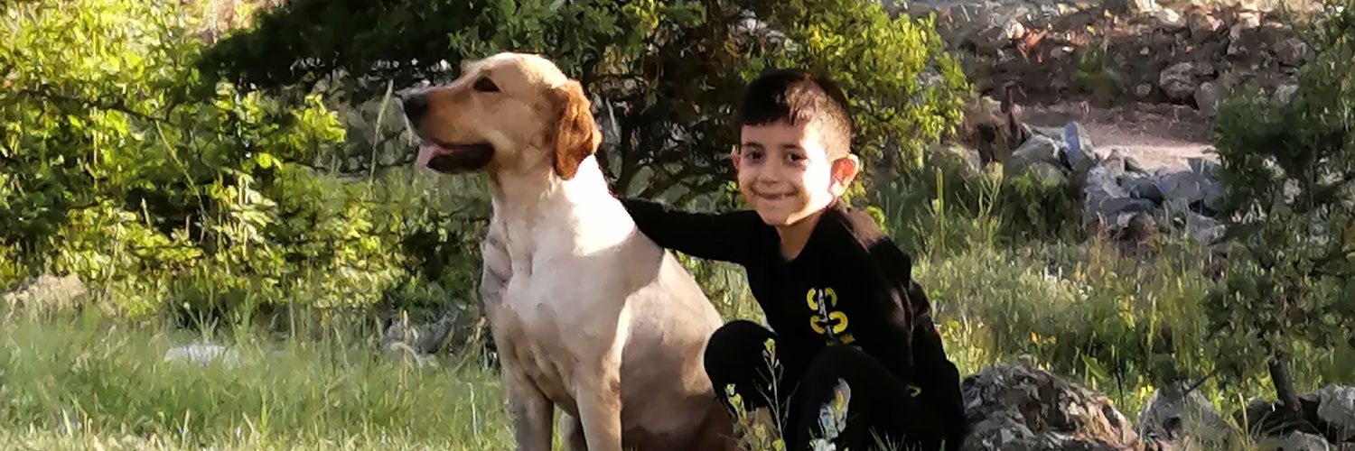 Dozturkurt's profile banner image