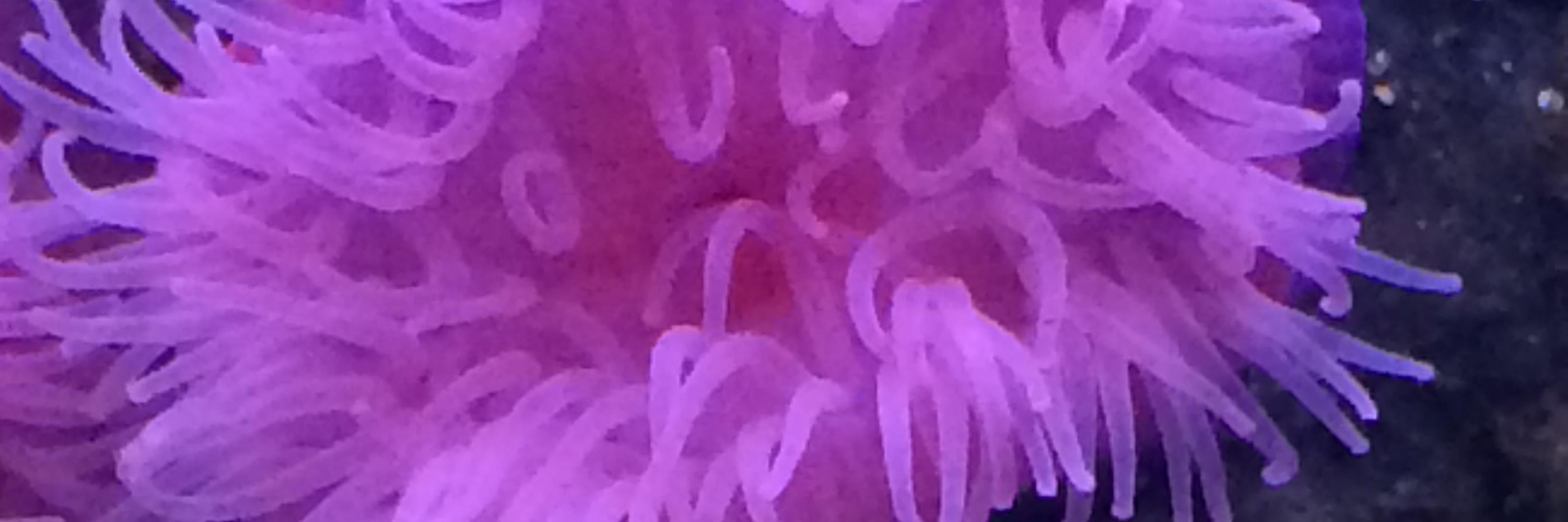 vitterbittervit's profile banner image