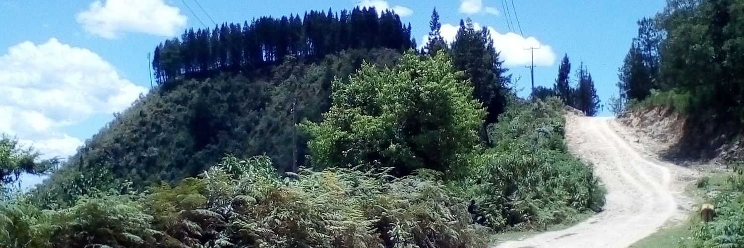 MrMormoch's profile banner image