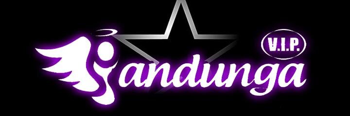 SandungaVip's profile banner image