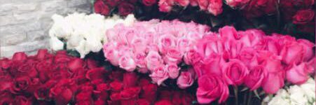 B10B_BB's profile banner image