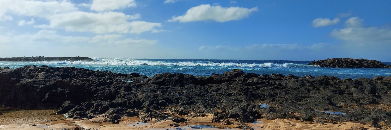 Rebecca Louise Jones banner