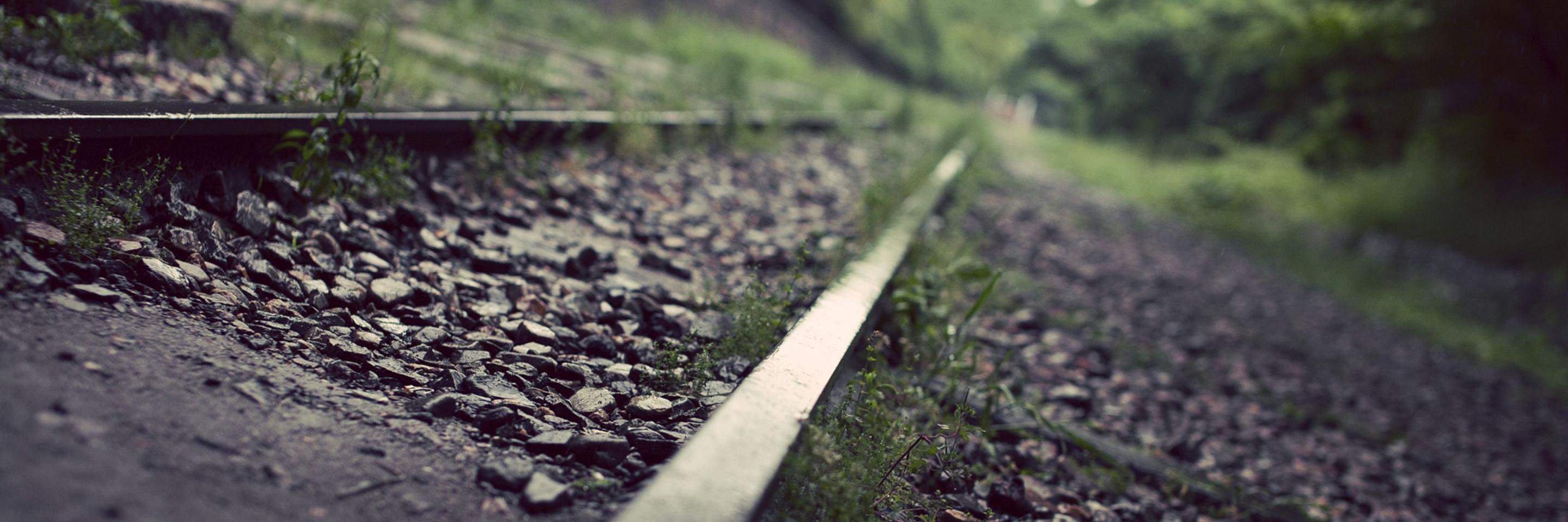 waali_d's profile banner image