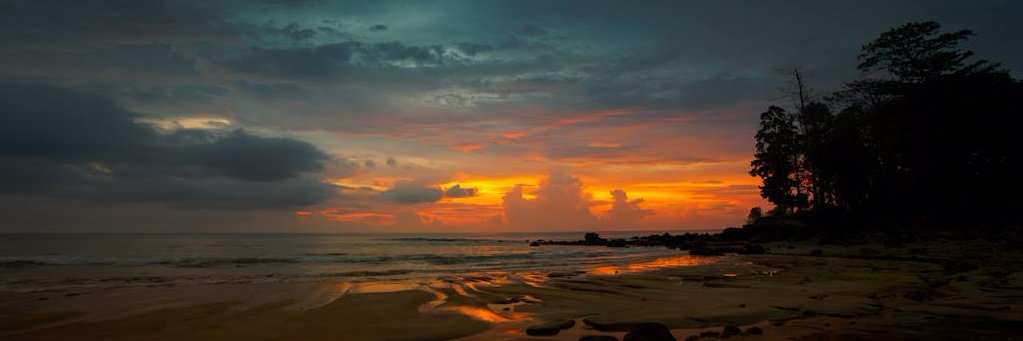 NagarjunRoy's profile banner image