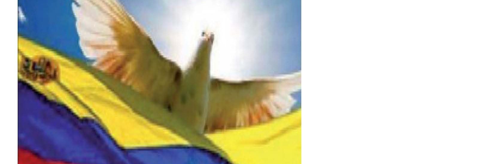 zonia linares banner